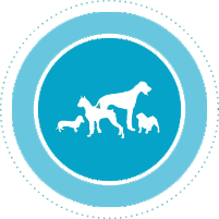 dog_icon copy